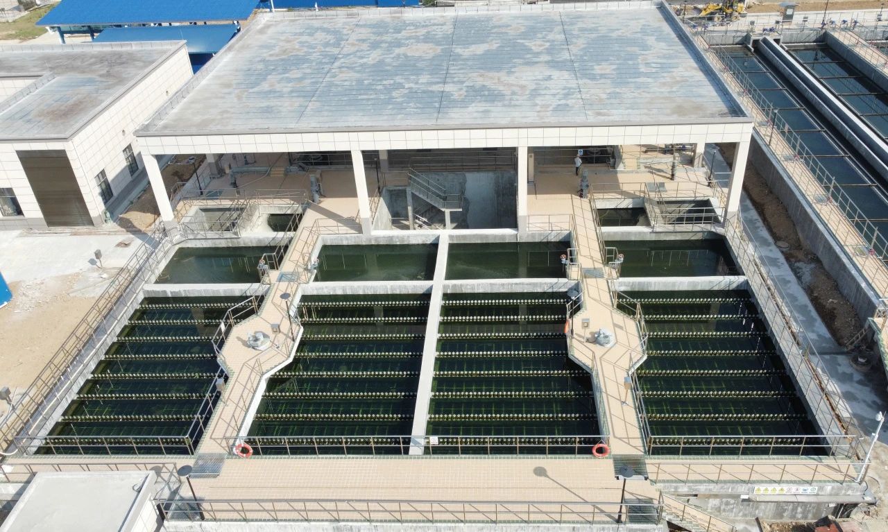 1728631954659843.jpg 1728631954659843.jpg